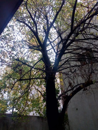 Venta Departamento de 1 Ambientes en San Isidro