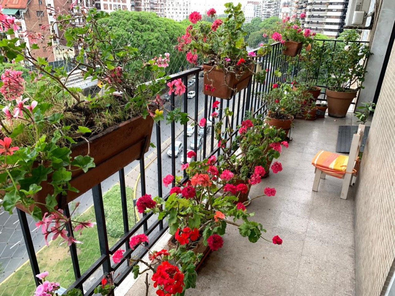 Lindisimo Departamento