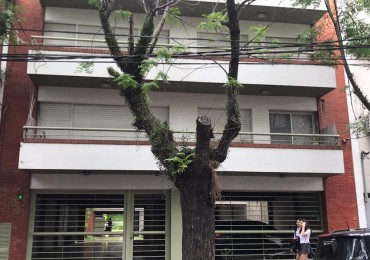 Lindísimo Departamento de 3 Ambientes